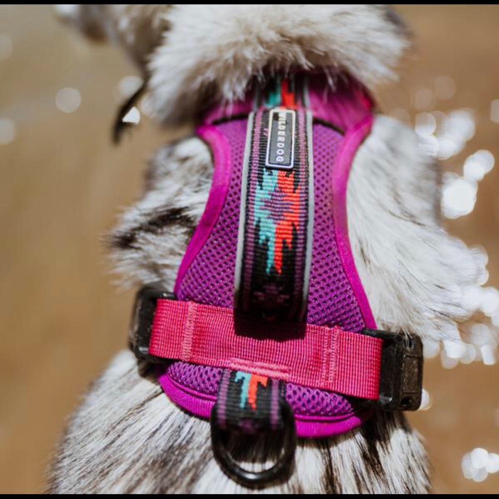 Brand new: Wilderdog harness. Small/medium